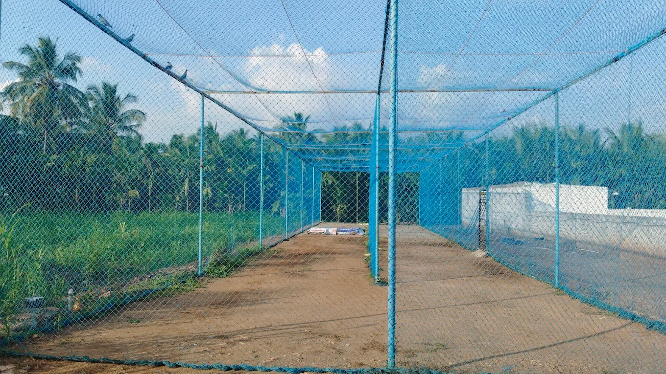 ALPHA CRICKET ACADEMY