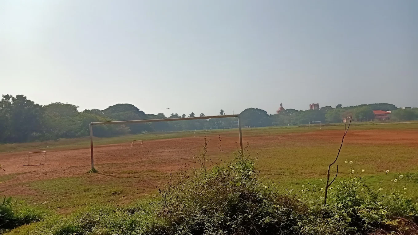 Anna Stadium photo 3