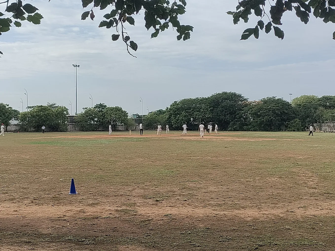 APJ CRICKET CLUB photo 4