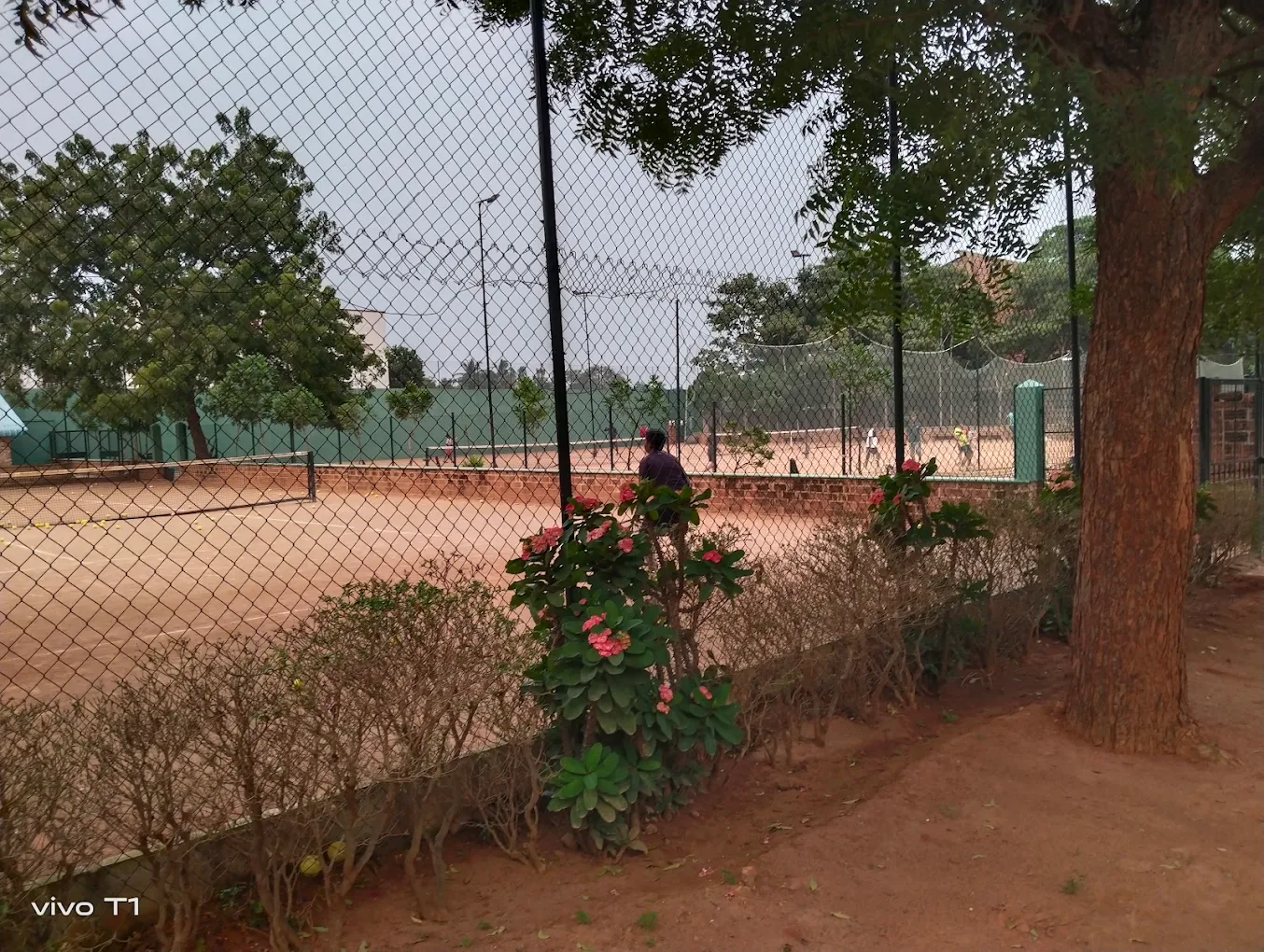 A.Y.A Sports and Family Club photo 3