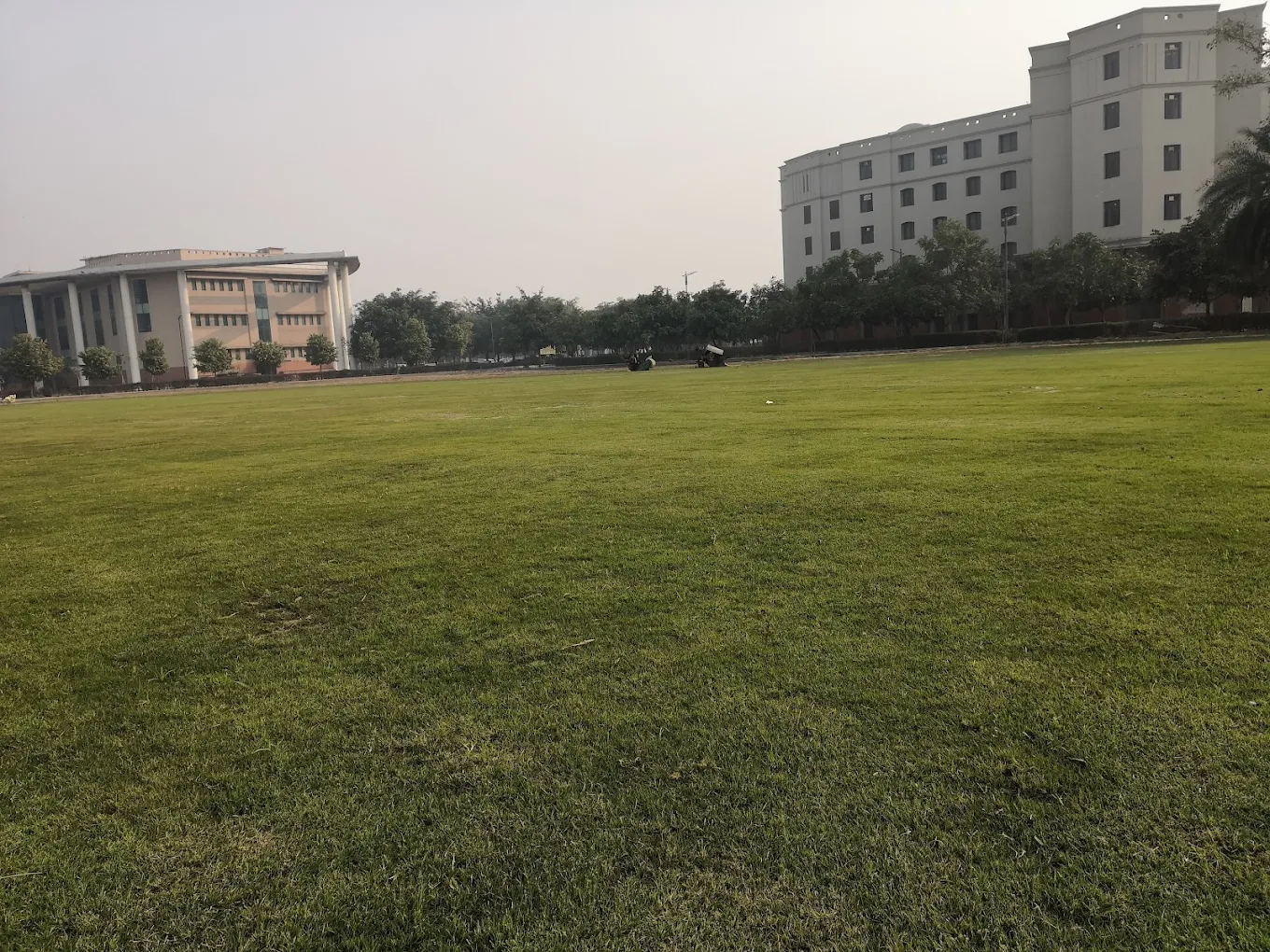 Athletics - Surge thumb 3