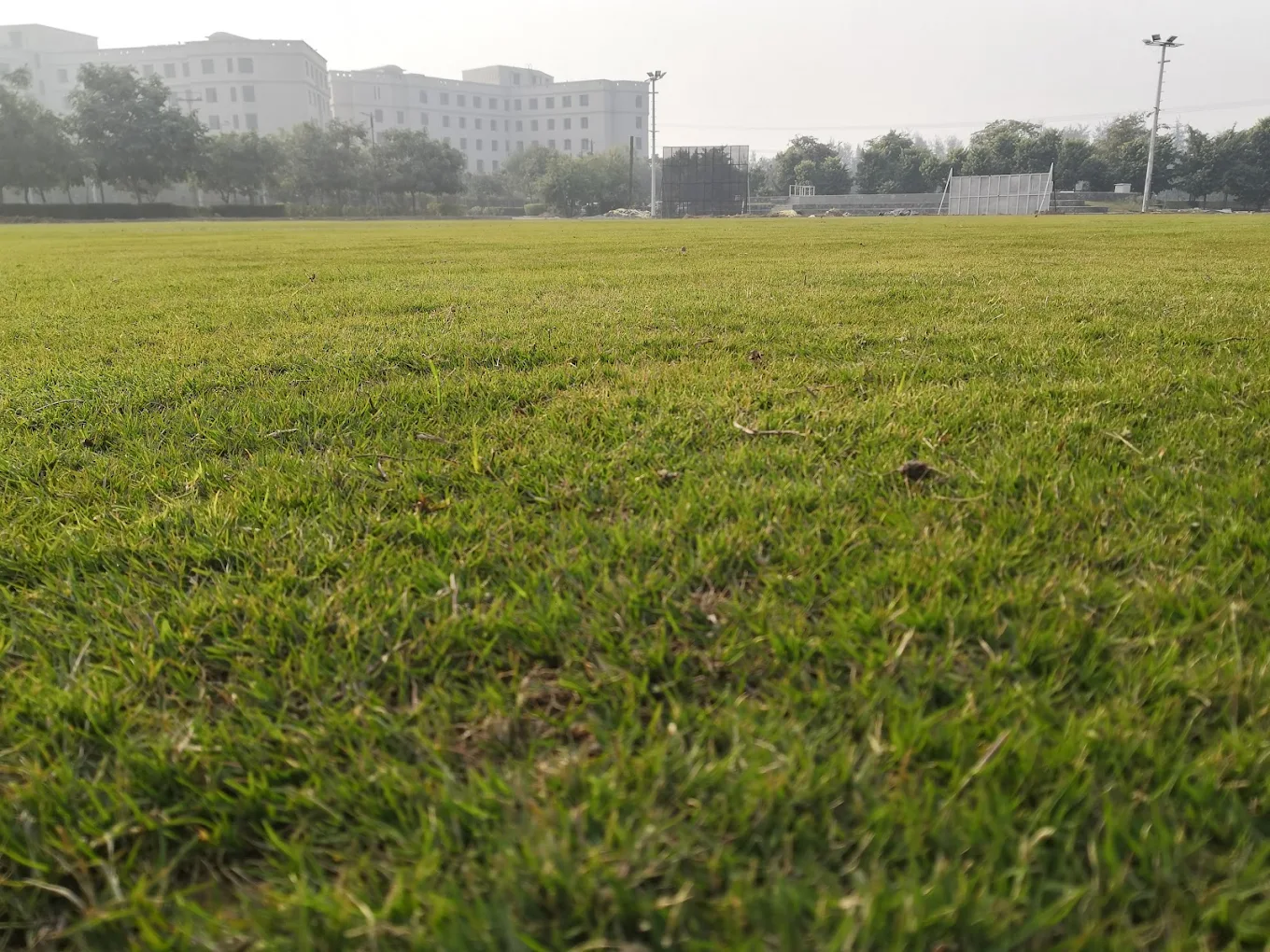 Athletics - Surge thumb 2