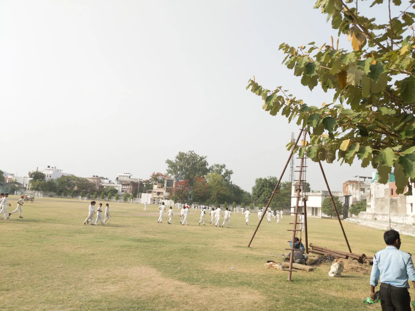 LDA Cricket Acadmy thumb 1