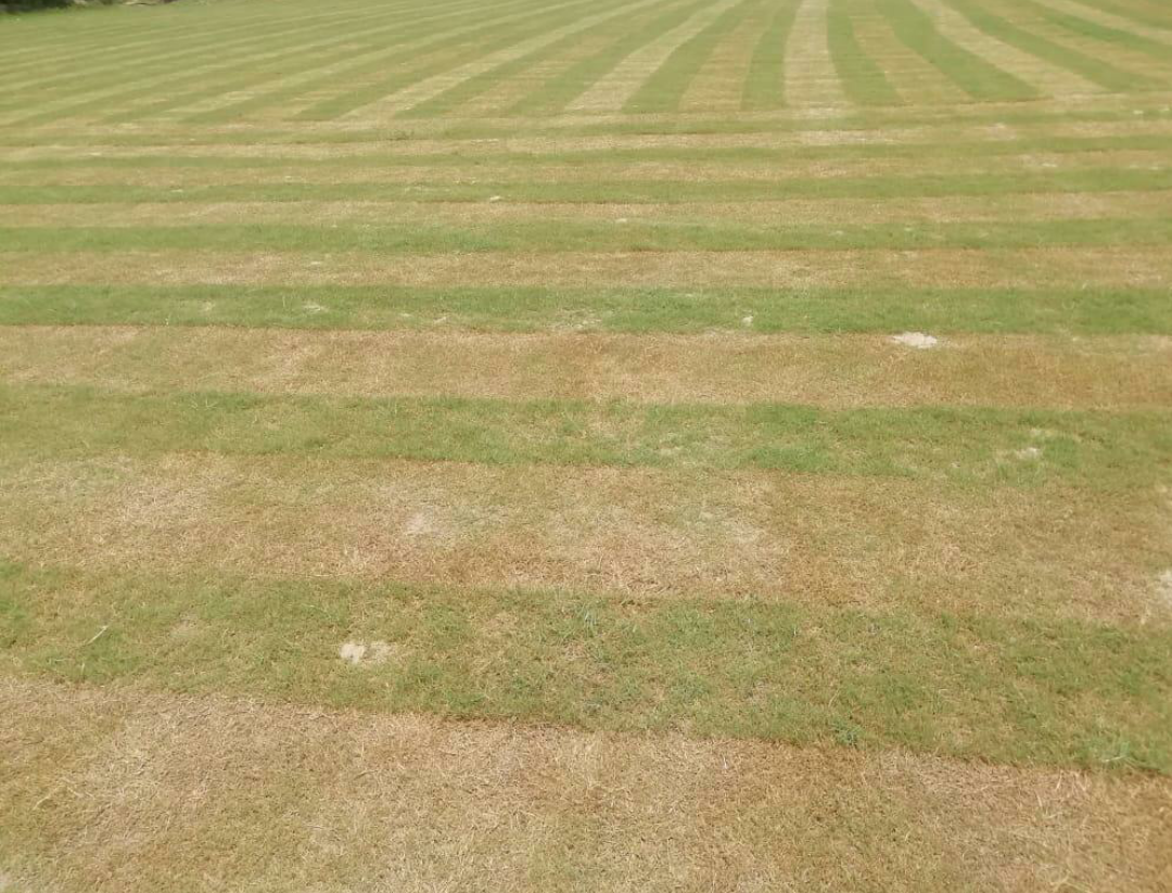 SHRADDHANAND TYAGI (SNT) CRICKET GROUND AND SPORTS ACADEMY