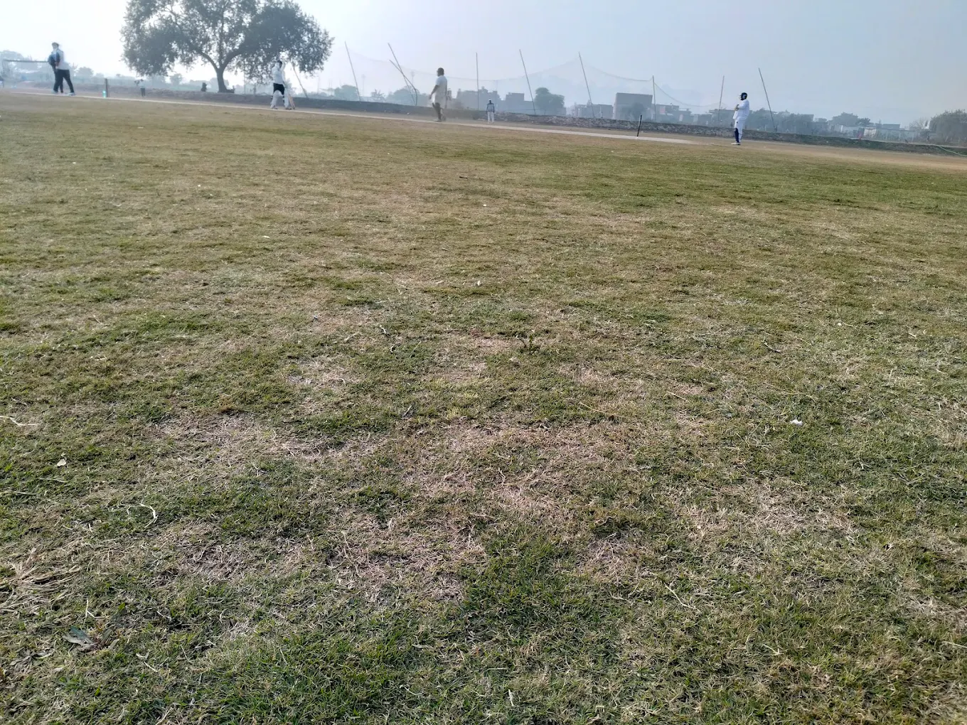 YCA Yorker Cricket Academy, SRT Cricket Ground thumb 1