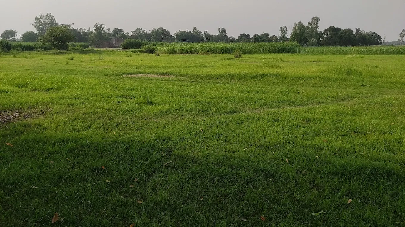 Aawas kuwa cricket ground photo 2