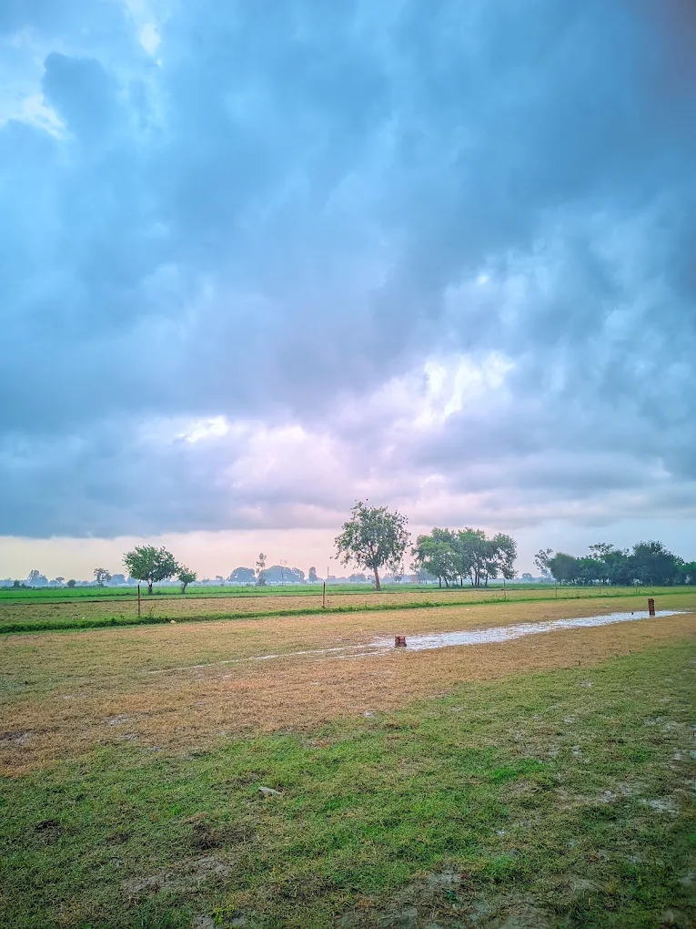 Ambiapur Cricket match Pitch