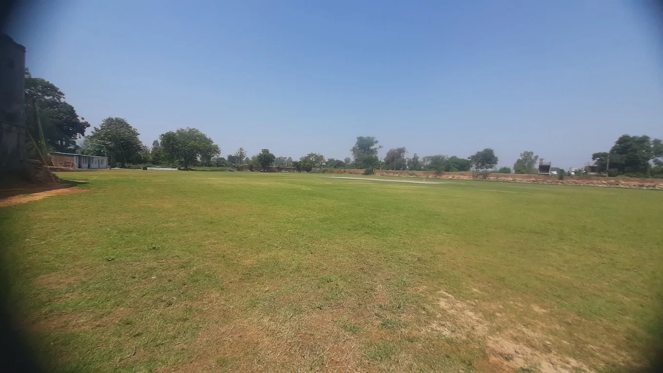 APEX Cricket Academy photo 3